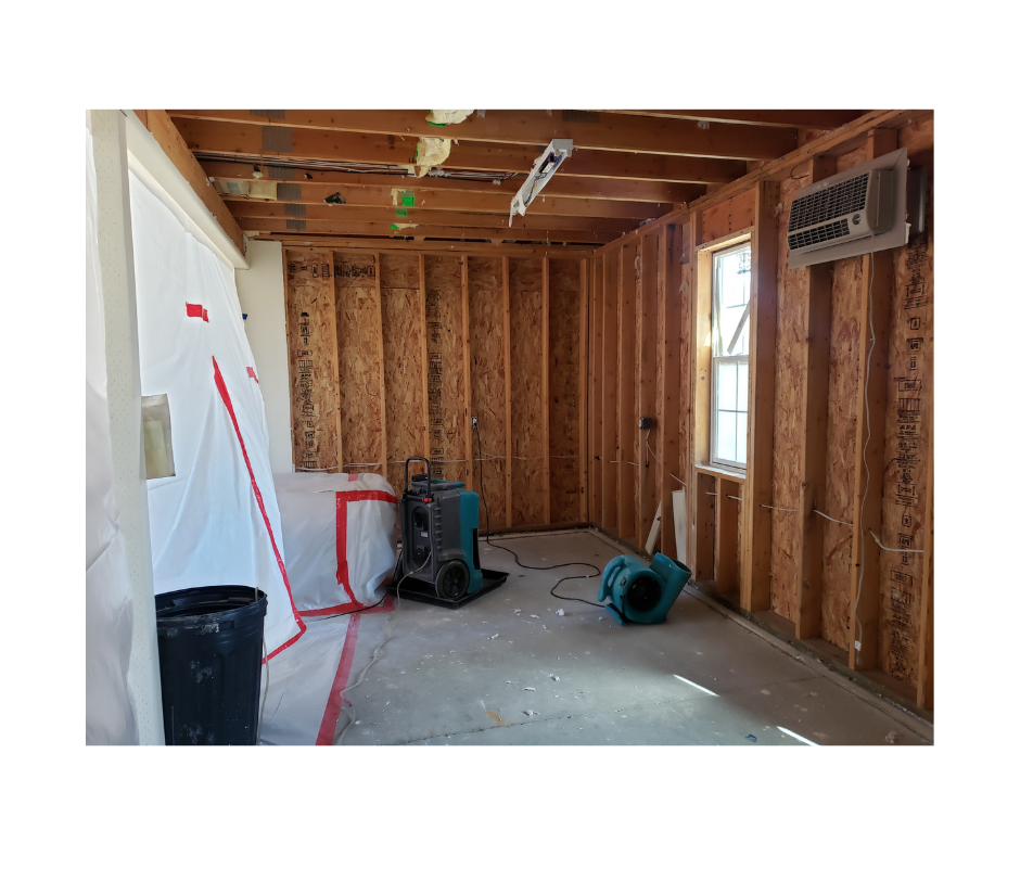 Mold damage restoration